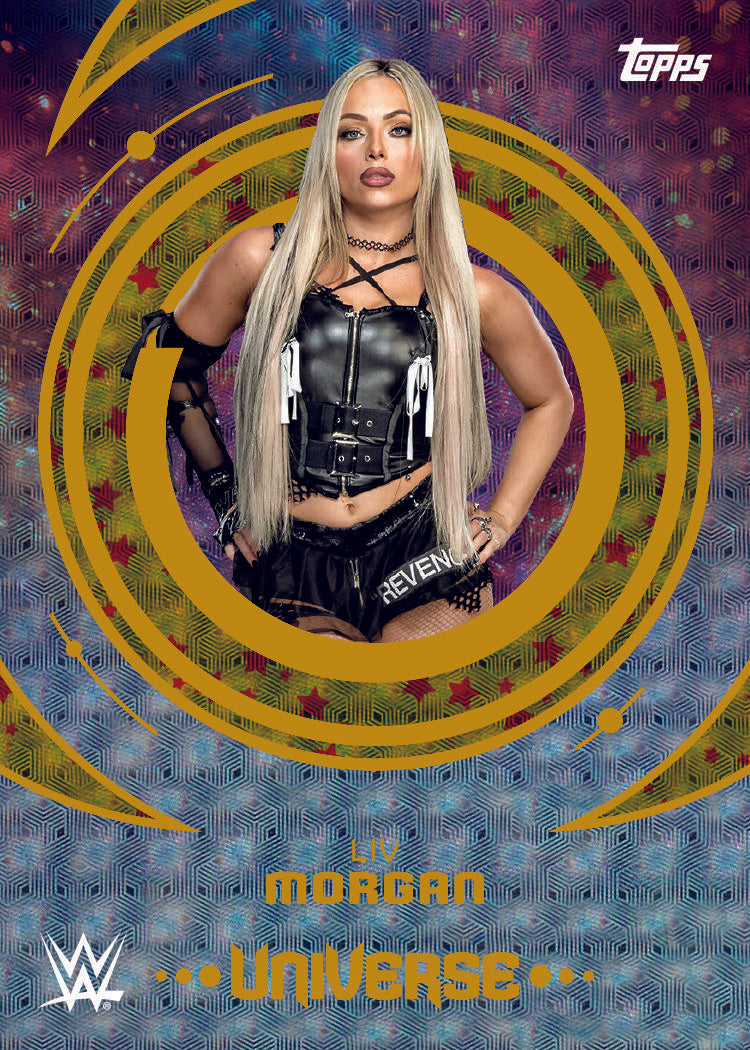 2025 Topps WWE Universe Hobby Box