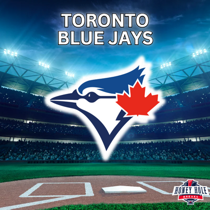 2025 Bowman Baseball Hobby FULL CASE (12-Box) Break PYT #931